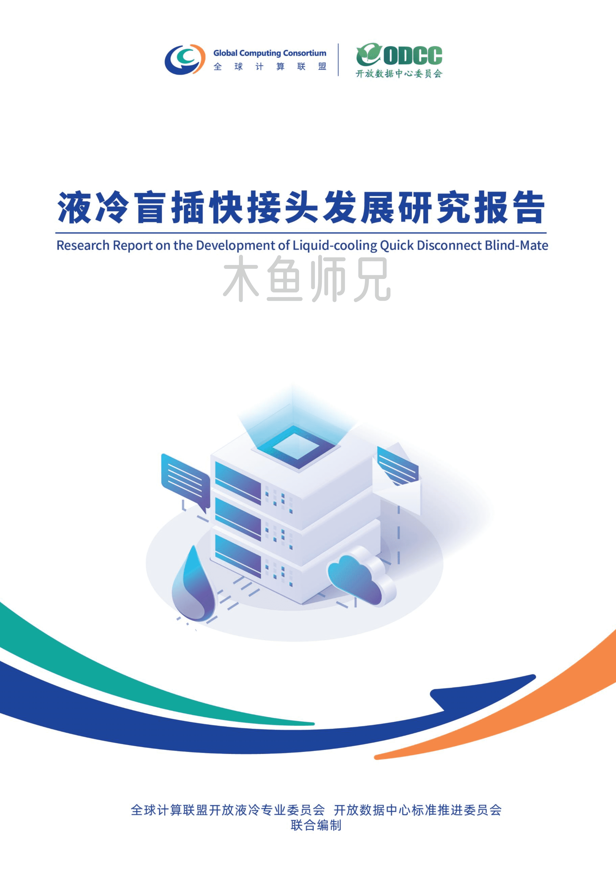 2025年(34页)液冷盲插快接头发展研究报告.pdf